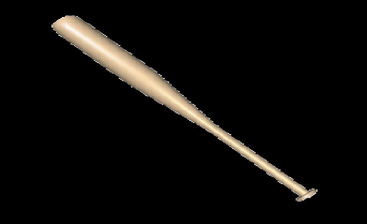bat.jpg